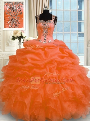 Organza Sleeveless Floor Length Quinceanera Gown and Appliques