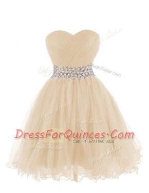 Nice Champagne Sleeveless Organza Lace Up Prom Party Dress for Prom and Party