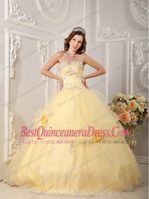 Light Yellow Ball Gown Sweetheart Floor-length Organza Appliques Quinceanera Dress