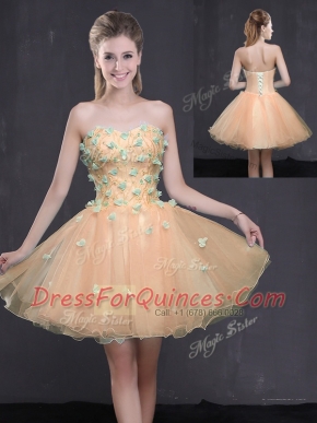 Peach A-line Sweetheart Sleeveless Organza Mini Length Lace Up Appliques Evening Dress