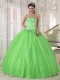 Spring Green Ball Gown Strapless Floor-length Taffeta and Tulle Appliques Quinceanera Dress