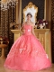 Watermelon Ball Gown Strapless Appliques Organza Quinceanera Dress