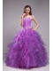 2014 Purple Ball Sleeveless Floor-length Lace-up Orangza Appliques Quinceanera Dress