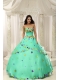 Apple Green Ball Gown 2013 Quinceanera Dresses For Custom Made Appliques Decorate Bodice