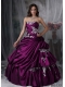 Appliques Fitted Strapless Ball Gown Beautiful Quinceanera Dress 2014