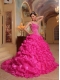 New Styles Hot Pink Ball Gown With Spaghetti Straps And Organza Embroidery Quinceanera Dress