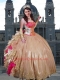 2014 Fabulous Embroidery and Ruffles Champagne Quinceanera Dressses
