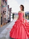 2014 Fashionable Sweetheart Appliques and Pick-ups Watermelon Red Dresses For a Quinceanera