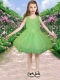 Backless Scoop A-Line Appliques and Ruffles Little Girl Dress