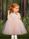 Light Pink Tulle A-Line Sleeveless Tea-length Little Girl Dresses with Straps