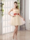 A Line Belt Strapless Dama Dress with Mini Length