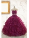 Brand New Style Quinceanera Gown with Beading and Ruffles