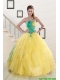 Classical Multi Color Quinceanera Dresses with Hand Made Flowers