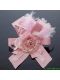 Pink Rhinestone Feather Hair Ornament for Imitation Pearls