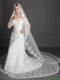 Perfect Lace Appliques Edge Organza Wedding Veil
