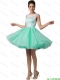 Elegant Laced Scoop A Line Prom Dresses in Apple Green