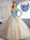 Pretty Champagne Quinceanera Dresses with Appliques and Beading