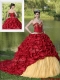 Discount Appliques and Pick Ups Brush Train Quinceanera Dresses