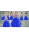 Big Puffy Beaded Blue Quinceanera Dress and Sequined Short Dama Dresses Ruffled Mini Quinceanera Dress