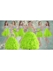 Visible Boning Yellow Green Quinceanera Gown and Sequined Short Dama Dresses and Beaded and Ruffled Mini Quinceanera Dress