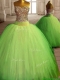 Fashionable Spring Green Big Puffy Quinceanera Dress with Beading