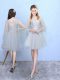 Flare Silver Empire Tulle Square Half Sleeves Lace Knee Length Lace Up Quinceanera Dama Dress