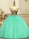 Nice Scoop Sleeveless Organza Quinceanera Gowns Appliques Lace Up