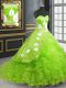 Great Sweetheart Lace Up Embroidery 15 Quinceanera Dress Brush Train Sleeveless