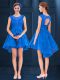 Colorful Blue Sleeveless Lace and Belt High Low Quinceanera Court Dresses