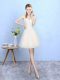 Beauteous Champagne Lace Up V-neck Lace Quinceanera Court Dresses Tulle Sleeveless