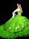 Classical Sweetheart Sleeveless Brush Train Lace Up Sweet 16 Quinceanera Dress Organza