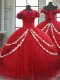 Fabulous Sleeveless Brush Train Lace Up Appliques and Pick Ups Ball Gown Prom Dress