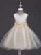 Champagne Zipper Scoop Lace and Hand Made Flower Flower Girl Dresses Tulle Sleeveless