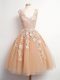 Champagne Lace Up V-neck Lace Quinceanera Dama Dress Tulle Sleeveless