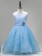 Popular Floor Length Baby Blue Toddler Flower Girl Dress Tulle Sleeveless Hand Made Flower