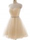 Extravagant Champagne Sleeveless Tulle Lace Up for Prom and Party and Sweet 16