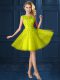 Beauteous Yellow Lace Up Bateau Lace and Appliques Damas Dress Tulle Cap Sleeves