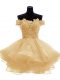 Hot Sale Gold Zipper Off The Shoulder Lace and Appliques and Ruffles Prom Dress Organza Sleeveless