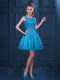 A-line Quinceanera Dama Dress Baby Blue Scoop Tulle Sleeveless Knee Length Zipper