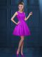 Fantastic Eggplant Purple Sleeveless Tulle Zipper Quinceanera Dama Dress for Prom and Party