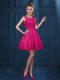 Popular Hot Pink Sleeveless Tulle Zipper Quinceanera Court of Honor Dress for Prom and Party