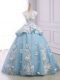Light Blue Organza Lace Up Quinceanera Dresses Sleeveless Court Train Appliques