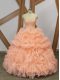 Sleeveless Sweep Train Beading and Ruffles and Pick Ups Lace Up 15 Quinceanera Dress