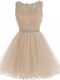 Wonderful Tulle Sleeveless Mini Length Dress for Prom and Beading and Lace and Appliques