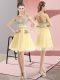 Delicate Light Yellow Sleeveless Tulle Side Zipper Prom Dresses for Prom and Party