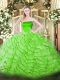 Stylish Zipper 15th Birthday Dress Ruffles Sleeveless Brush Train