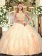 Attractive Halter Top Sleeveless Criss Cross Ball Gown Prom Dress Peach Tulle