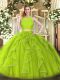 Stunning Floor Length Yellow Green Sweet 16 Quinceanera Dress Organza Sleeveless Lace and Ruffles