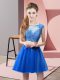 Scoop Sleeveless Tulle Prom Evening Gown Appliques Zipper