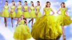 Exquisite Sleeveless Lace Up Floor Length Beading and Ruffles Quinceanera Gown